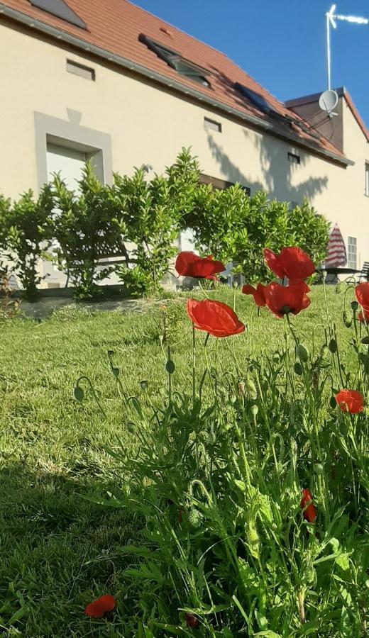 Le Feneau Maison D'Hotes Creuzier-le-Neuf Екстер'єр фото